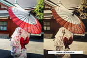 20 Memoirs Lightroom Presets & LUTs, a Preset Add-On by SparkleStock (Thumbnail 6 of 17)