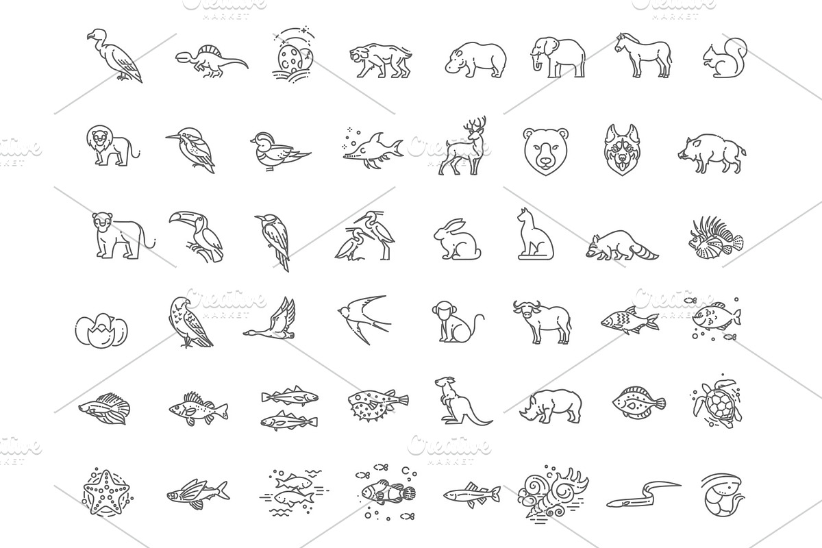 Animal icons. Vector icon set, an Outline Icon by Tettygreen (Photo 3 of 3)