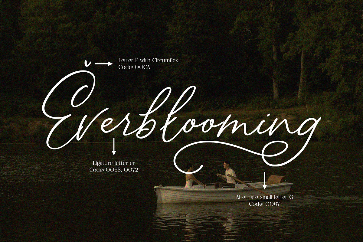 Luminary - Aesthetic Script Font, a Script Font by Inviline.co (Photo 7 of 11)