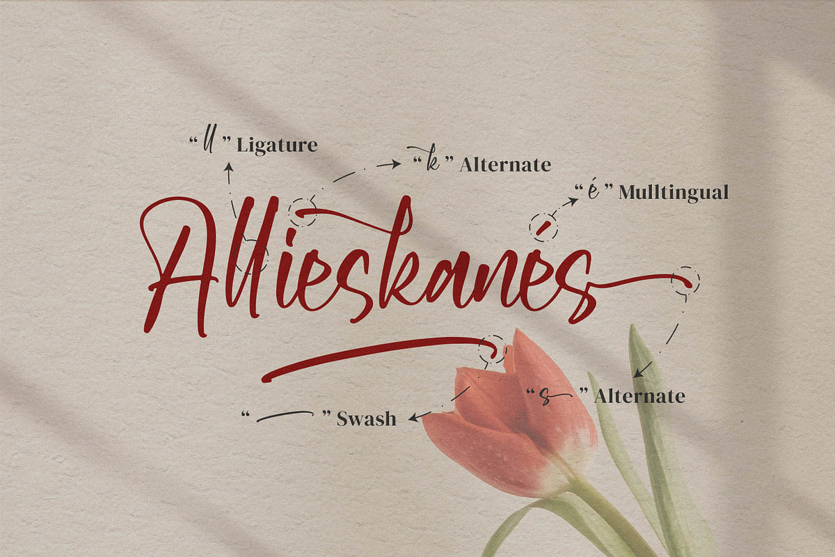 Aksarantti, a Script Font by Integritype Studio (Photo 14 of 15)