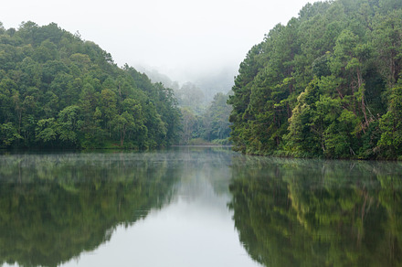 Lake in pine forests stock photo containing lake and forest, a Nature Photo by yongkiet jitwattanatam
