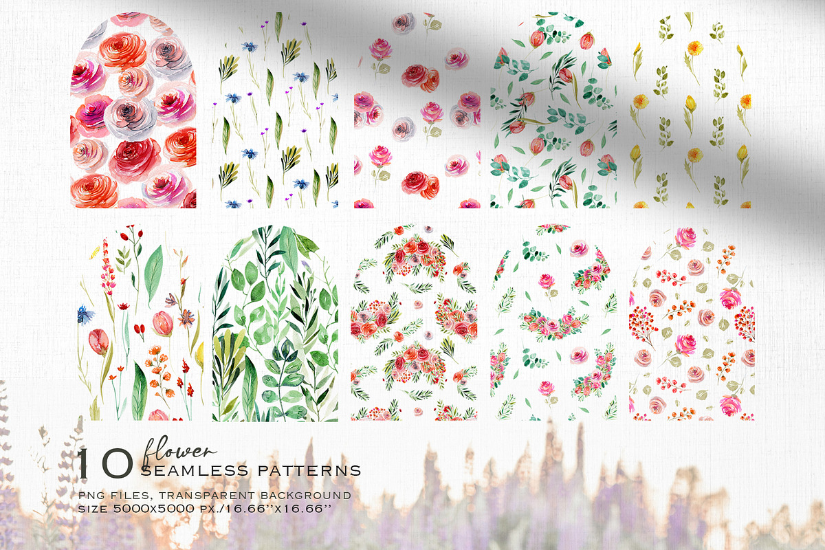 Wild flowers collection, a Texture Illustration by Skliarova (Photo 11 of 11)