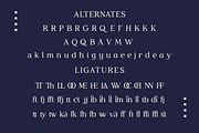 ET Kaliena - Serif Elegant Simplicit, a Serif Font by Eternity Studio (Thumbnail 10 of 12)