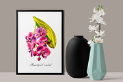Orchids branch in botanical style, a Decorative Illustration by Ann Astro (Thumbnail 3 of 15)