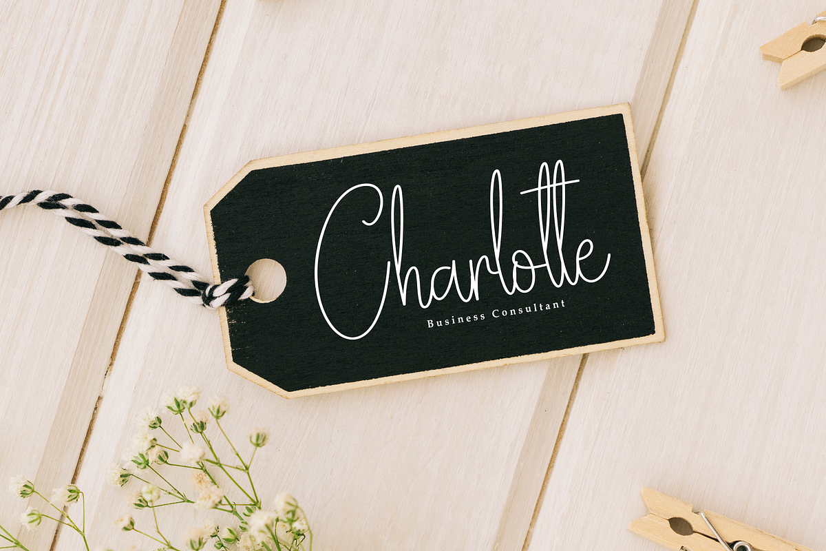 Embroidery Signature | Script Font, a Handwritten Font by Scratchones (Photo 4 of 9)