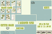 Certified Organic Clipart & Brushes, an Object Graphic by Le Paper Cafe (Thumbnail 4 of 5)