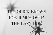 Gelang - Stylish & Modern Serif Font, a Serif Font by TypeLogue (Thumbnail 2 of 5)