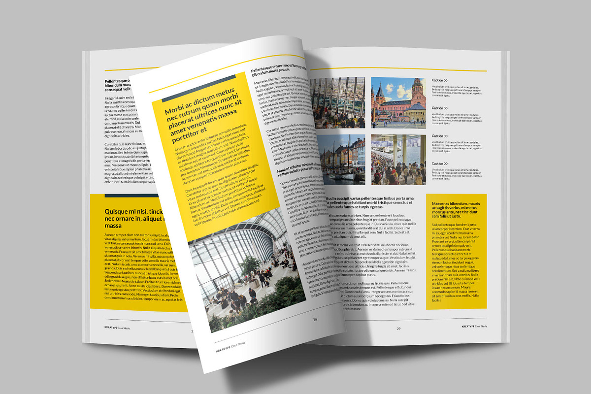 Kreatype Case Study, a Brochure Template by Kreatype Studio (Photo 9 of 12)