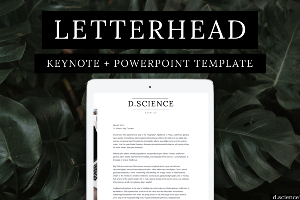 8 Branding Template Kit, a Stationery Template by Template Monkey @dscience (Photo 16 of 24)