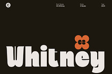 CS Whitney – Chunky Display Font