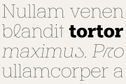 Midles Slab, a Slab Serif Font by Attract Studio (Thumbnail 5 of 15)