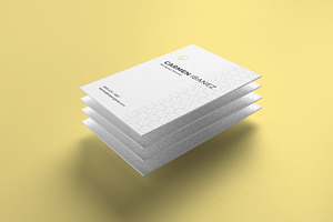 BG Premium Business Card Duo