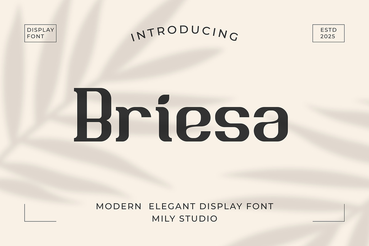 Briesa - Modern Elegant Display Font, a Font by Mily Studio (Photo 1 of 15)