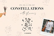Zodiac constellations with flowers, an Illustration by Art Dari Autumn (Thumbnail 1 of 8)
