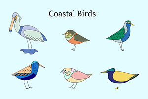 European Coastal Birds