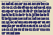 Essential Gathering - Psychedelic, a Serif Font by 177Studio (Thumbnail 8 of 8)