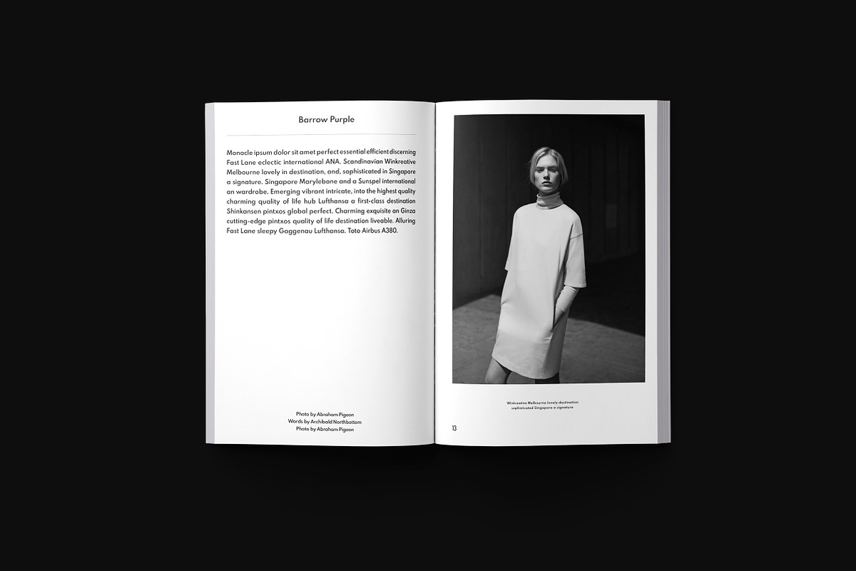 Fashion+Lifestyle Magazine, a Magazine Template by T E M P L Y (Photo 2 of 9)