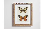 Wooden frame mockup close up, a Household Mockup by Artjafara (Thumbnail 2 of 6)