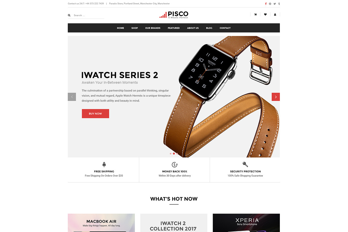 Pisco - WooCommerce WordPress Theme, a WordPress Template by WPThemeGo (Photo 3 of 3)