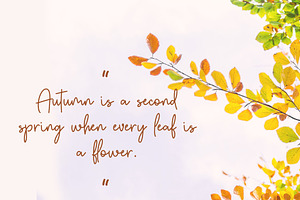 Autumn Fairy Signature Monoline Font