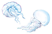 Transparent mood watercolour, a Healthcare Illustration by masha gross (Thumbnail 6 of 6)