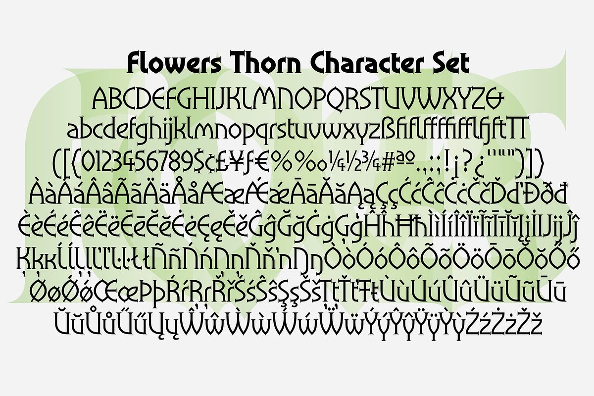 Flowers, a Serif Font by BluHead Studio (Photo 8 of 8)