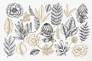 Rare plant collection, a Decorative Illustration by adehoidar (Thumbnail 3 of 7)