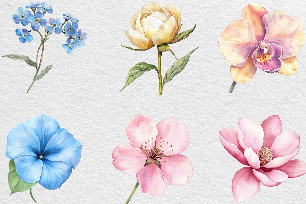Watercolor Pastel Flowers Clipart, an Illustration by Black Bird Studio (Photo 2 of 6)