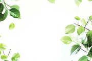 99 Frames of green leaves, a Nature Photo by Handmadefont (Thumbnail 58 of 100)