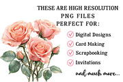 Pink Garden Watercolor Clipart, an Illustration by OK Design (Thumbnail 5 of 6)