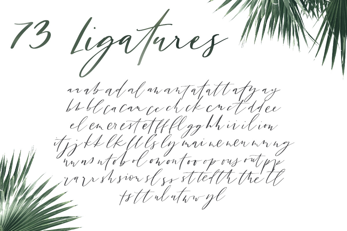 San Clemente | A Carefree Script preview 7
