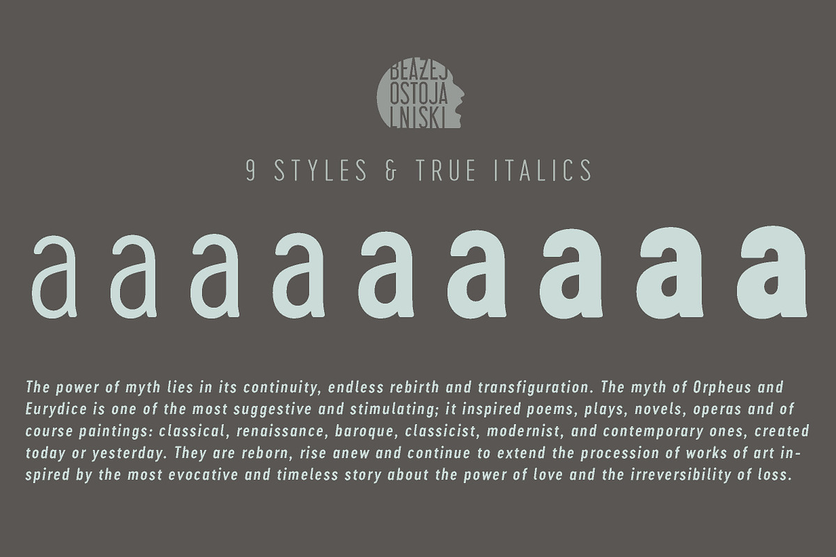 Cervo Neue 50% off, a Sans Serif Font by Blazej Ostoja Lniski (Photo 3 of 6)