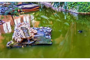 Green water turtles in an artificial pond at the Atocha station - Madrid, Spain, an Architecture Photo by Leonid Andronov