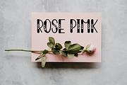 Place Love, a Script Font by FreshTypeINK (Thumbnail 5 of 8)