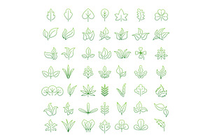 Leaf Icon. Autumn Or Garden Symbols