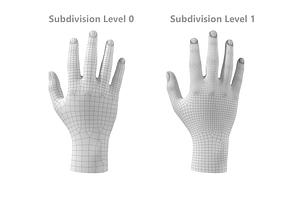 Endomorph Male Hand Base Mesh 02