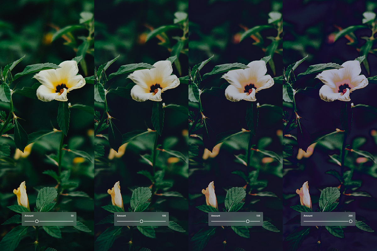 Fuji FP 100C III, a Preset Add-On by colorituals (Photo 2 of 9)