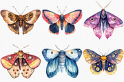 Watercolor Night Moths Clipart, an Illustration by Canvas Craft (Thumbnail 2 of 8)