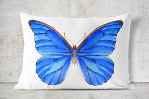 34 Watercolor Butterflies