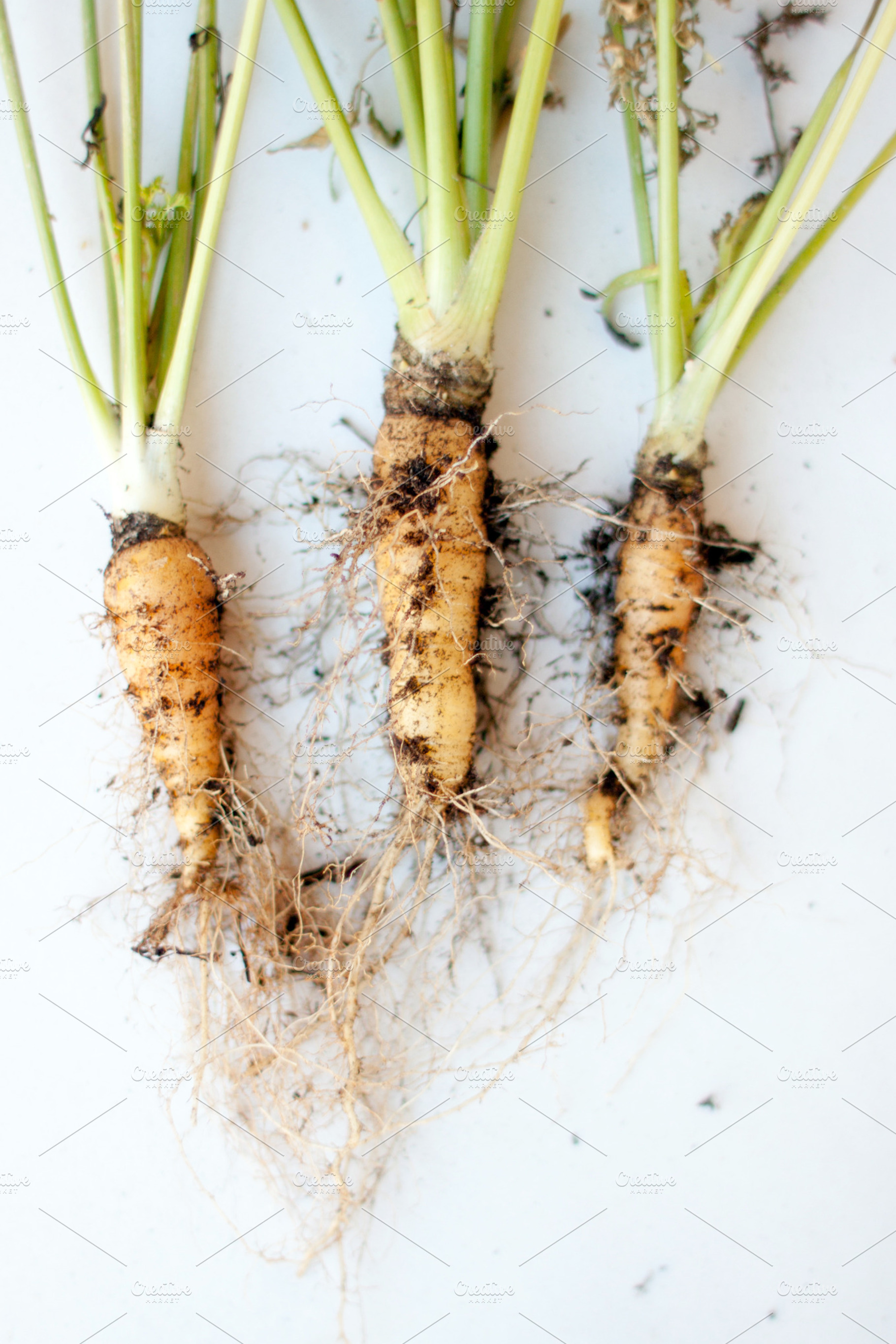 Little Carrots Stock Picture