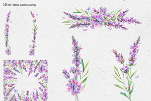 Watercolor Lavender Clip Art