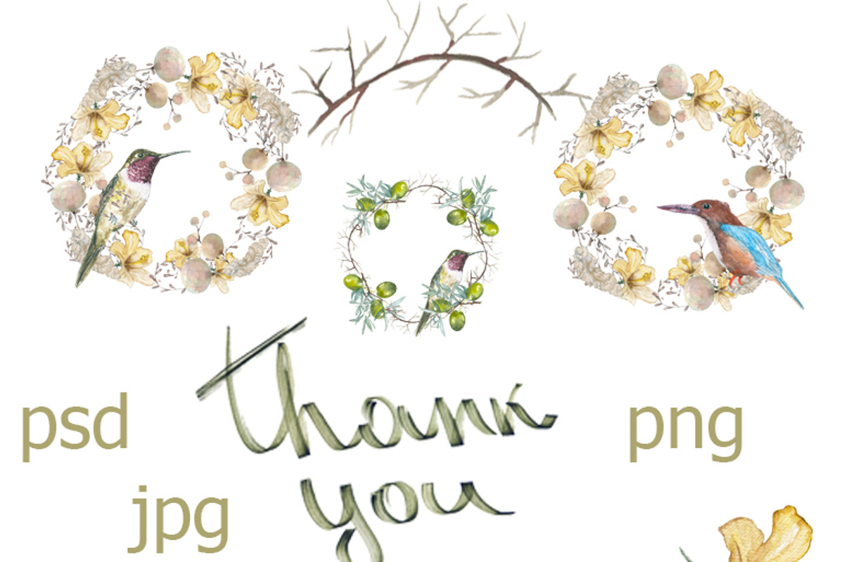 Birds and flowers watercolor, an Animal Illustration by JuliaFast (Photo 3 of 8)