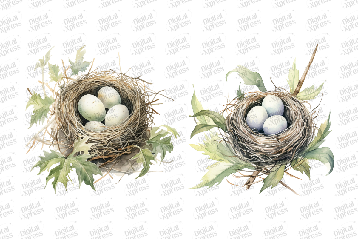 Beautiful Dove Clipart, an Object Illustration by Digital Xpress (Photo 7 of 7)