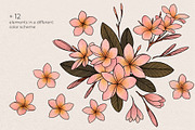 Illustration set Plumeria, an Illustration by Maria Summer (Thumbnail 5 of 13)