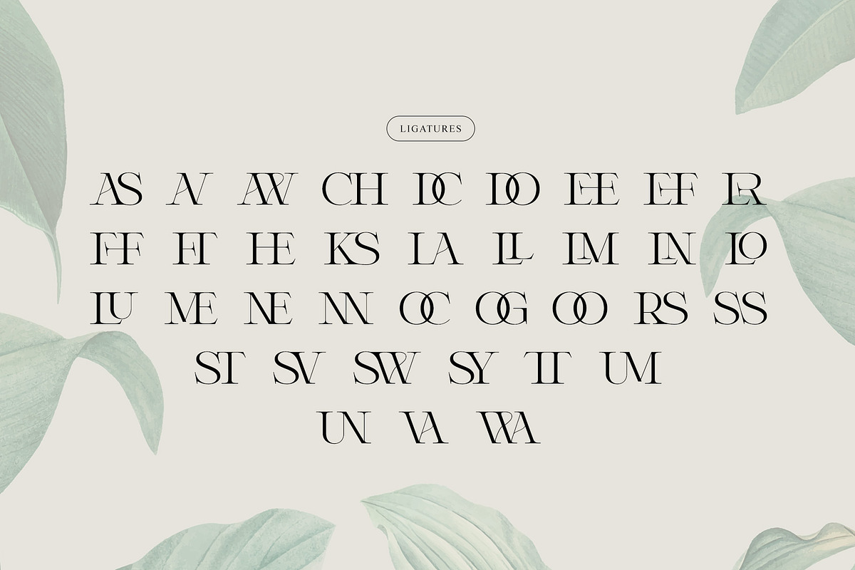 Winter Solace – Calligraphic Serif, a Serif Font by Krismagraph (Photo 7 of 10)