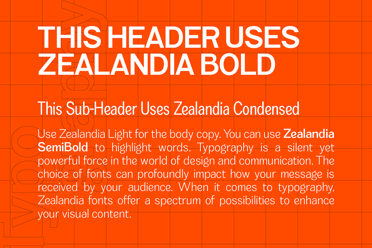 Zealandia - Sans Serif, a Sans Serif Font by Prominent & Affluent (Photo 2 of 10)