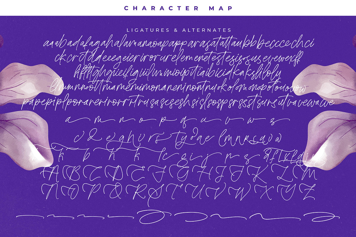 Bestnight Tropicals Ballpoint Script, a Script Font by stylishtype.co (Photo 19 of 20)