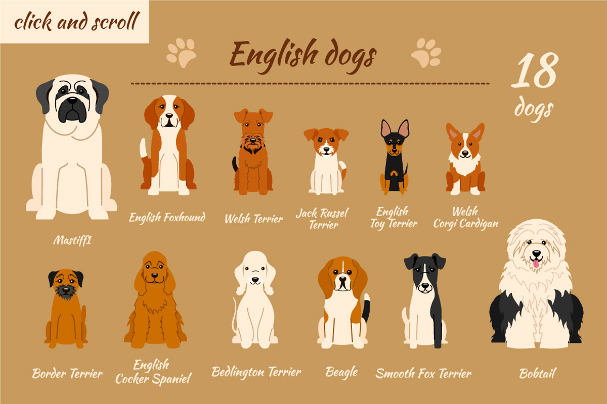Collection of different dogs, an Illustration by Mallinka (Photo 2 of 8)