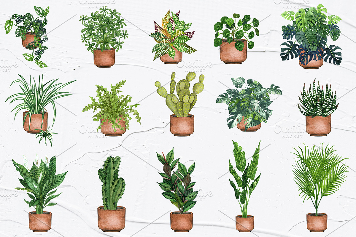 Potted Plants Watercolor clipart, an Object Illustration by BarvArt (Photo 3 of 8)