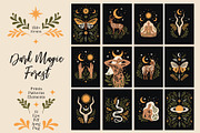 Dark Magic Forest Graphics Set, an Animal Illustration by Katerina Osa (Thumbnail 1 of 12)